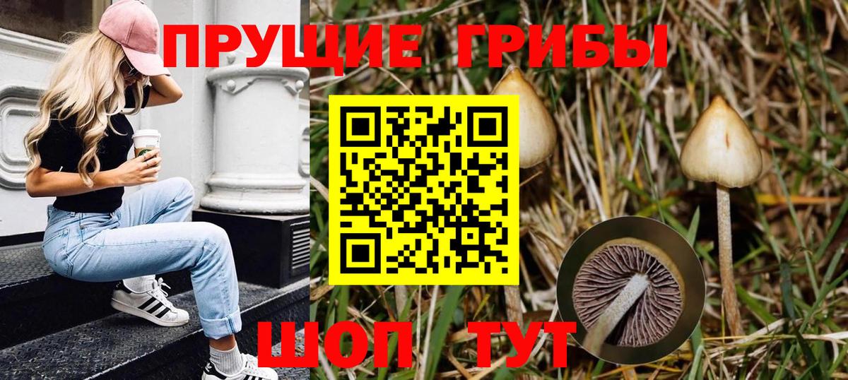 Галлюциногенные грибы мицелий Чита