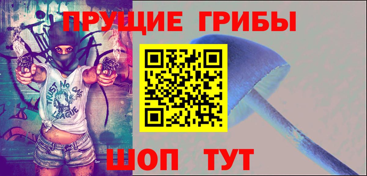 Чита  Псилоцибиновые грибы мухоморы  Вход с VPN 